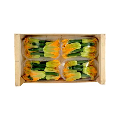 COURGETTE FLEUR 4 X 6 STK